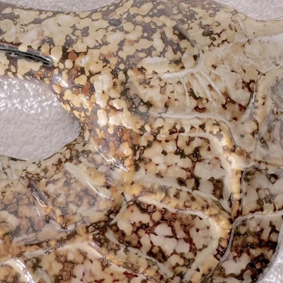 Vintage Brown  Speckled Ceramic Seahorse Wall Decor - Picture 6 of 9